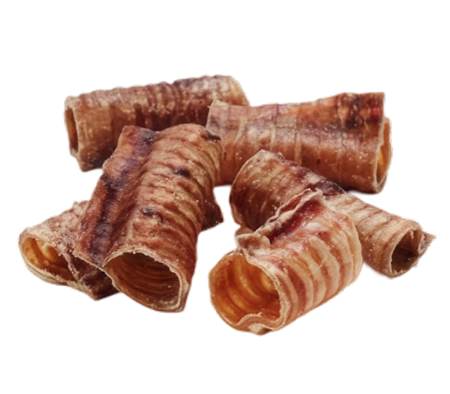 beef-trachea